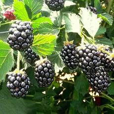 Лохтей - лпх-первомайское.рф