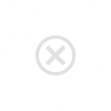 ПИОНЫ - лпх-первомайское.рф