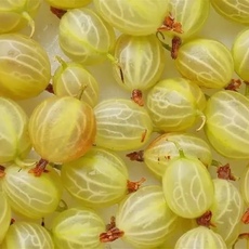  Персиковый (нет в наличии) - лпх-первомайское.рф