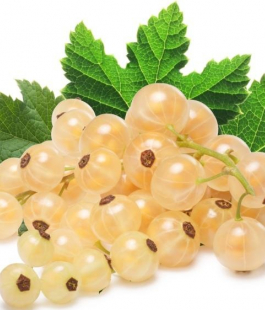 Белая - лпх-первомайское.рф