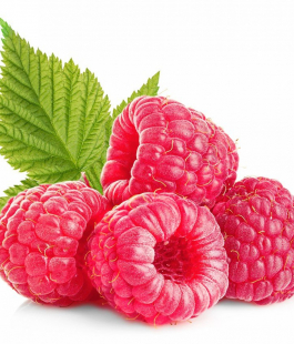 Малина - лпх-первомайское.рф