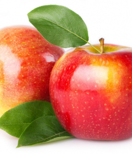 Летний срок - лпх-первомайское.рф