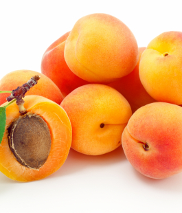 Абрикос - лпх-первомайское.рф