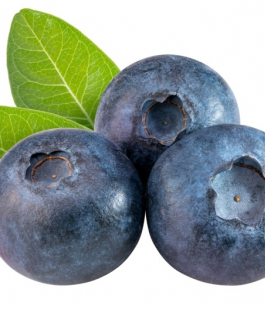 Голубика - лпх-первомайское.рф