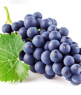 Виноград - лпх-первомайское.рф