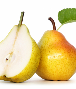 Груша - лпх-первомайское.рф