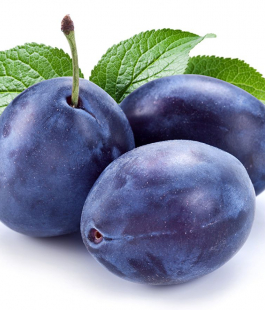 Слива привитая - лпх-первомайское.рф