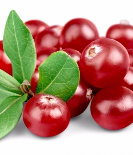 Клюква - лпх-первомайское.рф