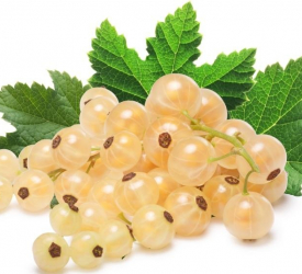 Белая - лпх-первомайское.рф