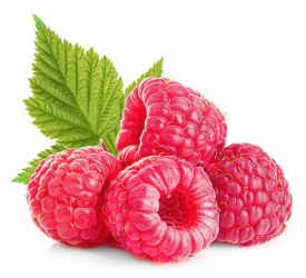 Малина - лпх-первомайское.рф