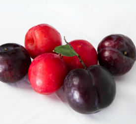 Алыча привитая - лпх-первомайское.рф