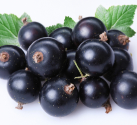 Чёрная - лпх-первомайское.рф