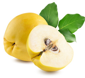 Айва японская - лпх-первомайское.рф