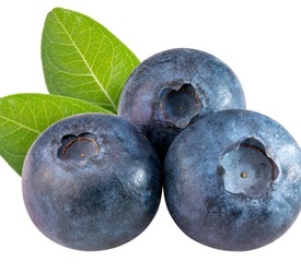 Голубика - лпх-первомайское.рф