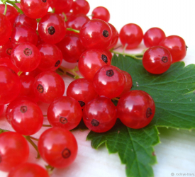 Красная - лпх-первомайское.рф