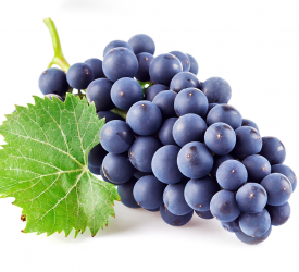 Виноград - лпх-первомайское.рф