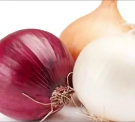 ЛУК -СЕВОК - лпх-первомайское.рф