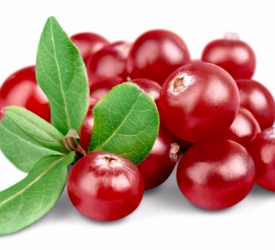 Клюква - лпх-первомайское.рф