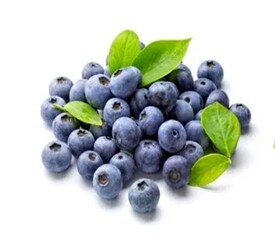 Голубика 3-лет - лпх-первомайское.рф