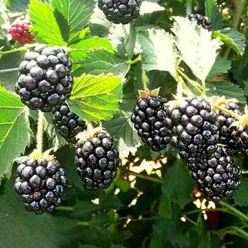 Лохтей - лпх-первомайское.рф