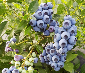 Река - лпх-первомайское.рф