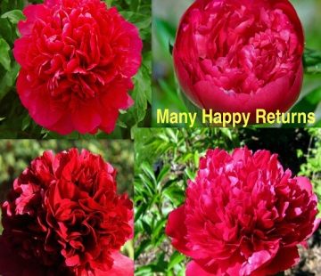 Мени хеппи ретурнс - лпх-первомайское.рф