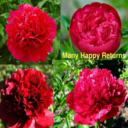 Мени хеппи ретурнс - лпх-первомайское.рф